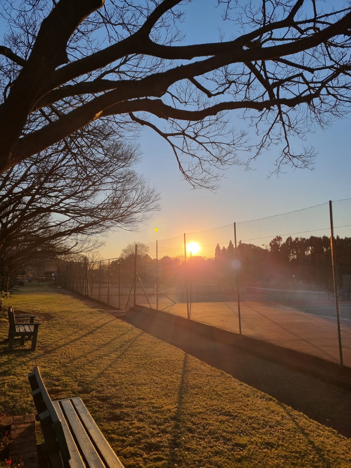 Lynnwood Tennisklub facilities